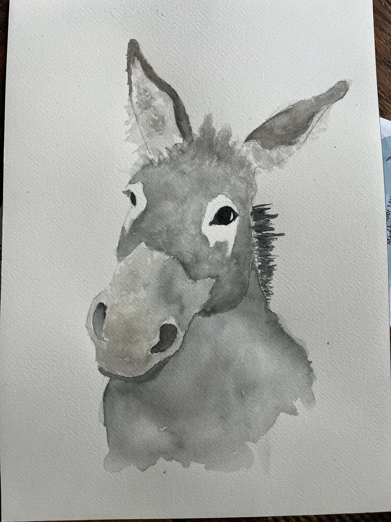 Watercolor portrait of a donkey