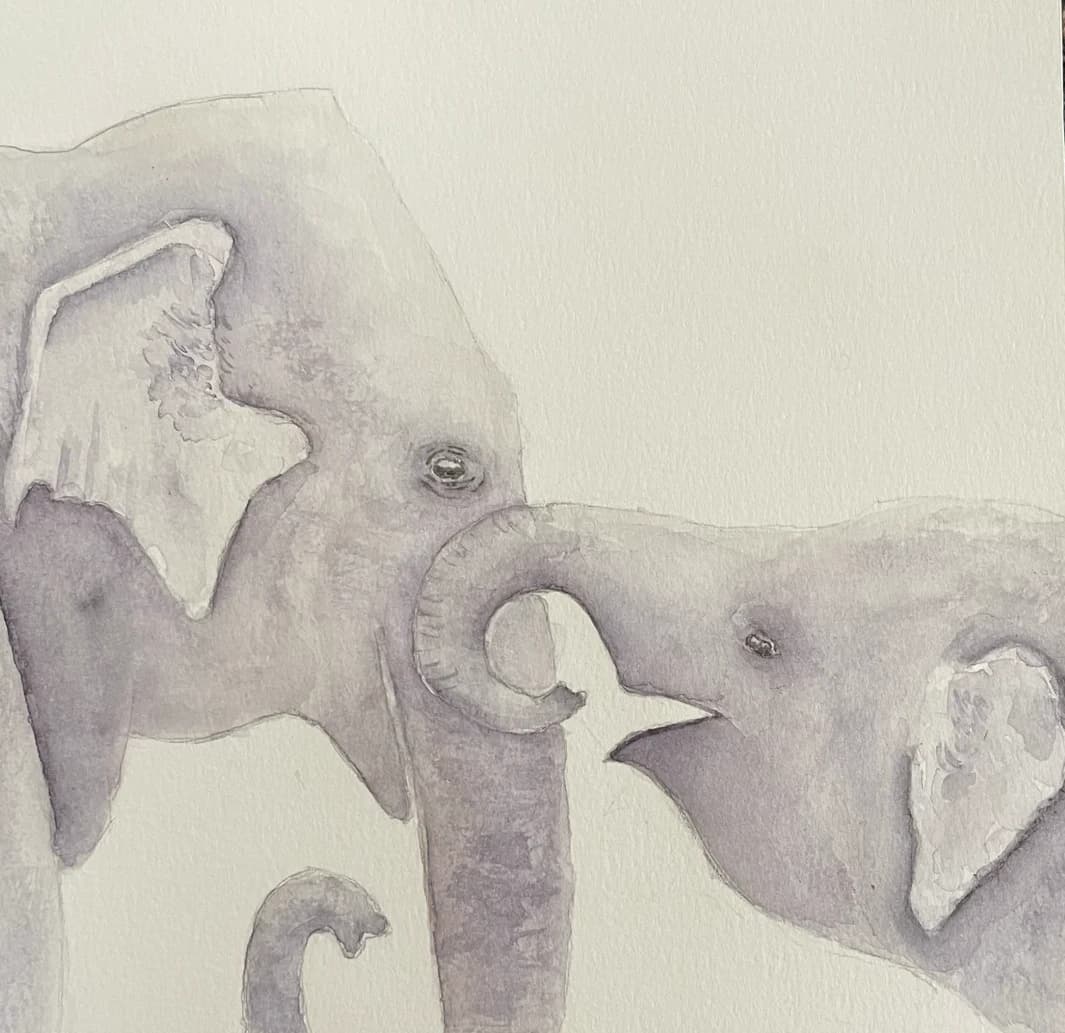 Watercolor painting of two elephants