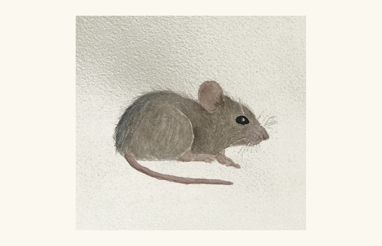 Watercolor painting of a mouse