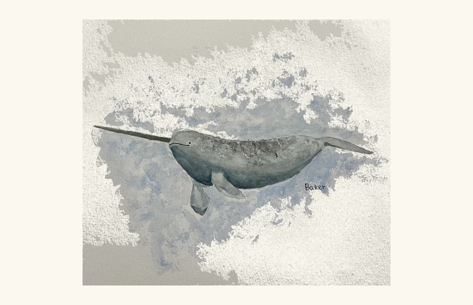 Watercolor painting of a narwhal