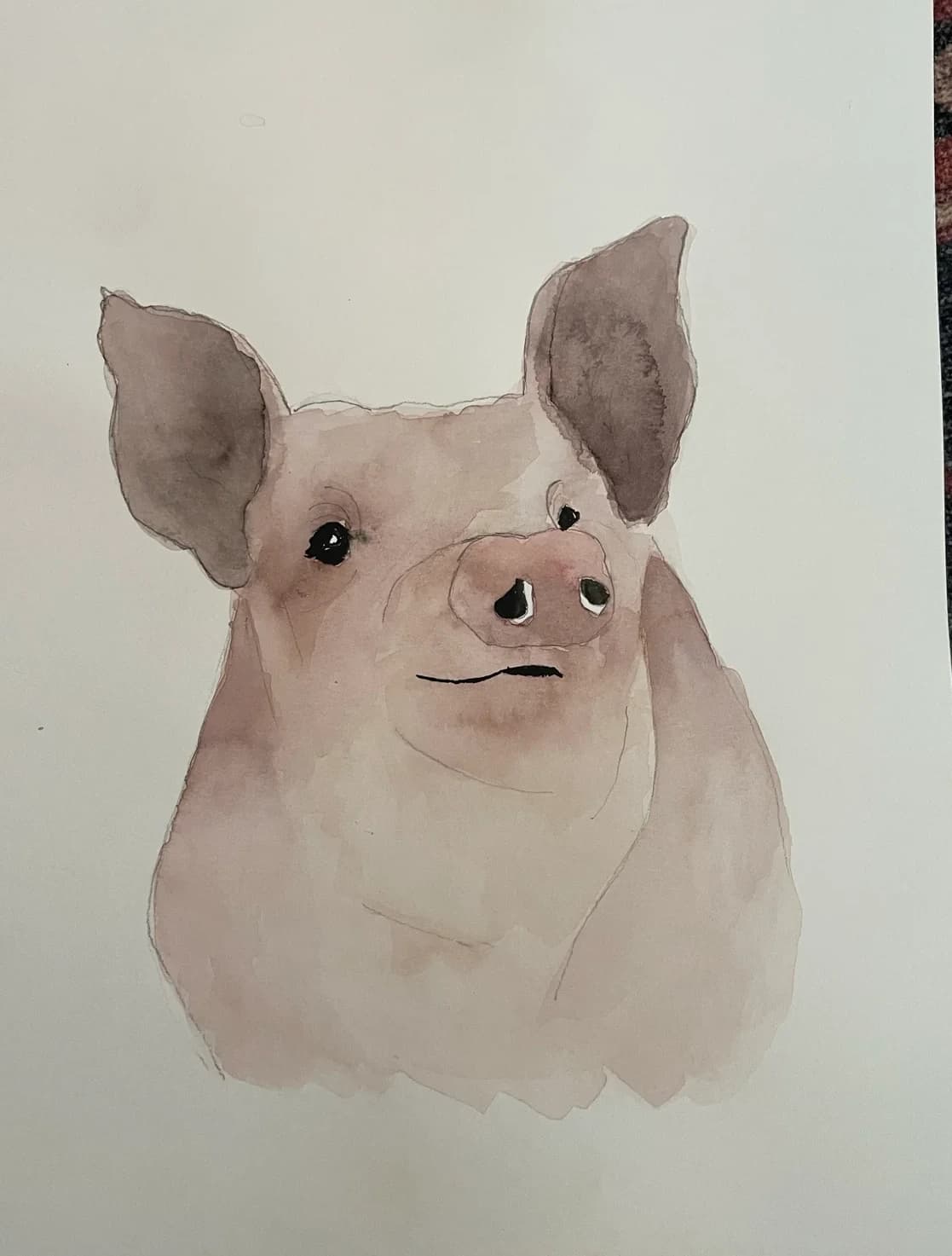 Watercolor portrait of a pig