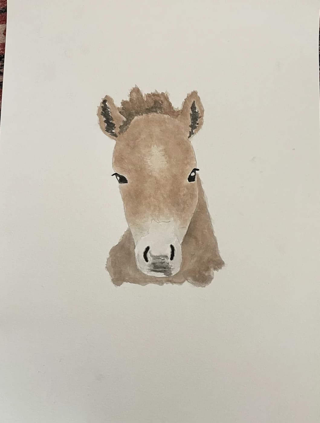 Watercolor portrait of a pony