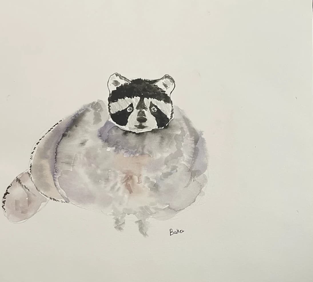 Watercolor painting of a raccoon