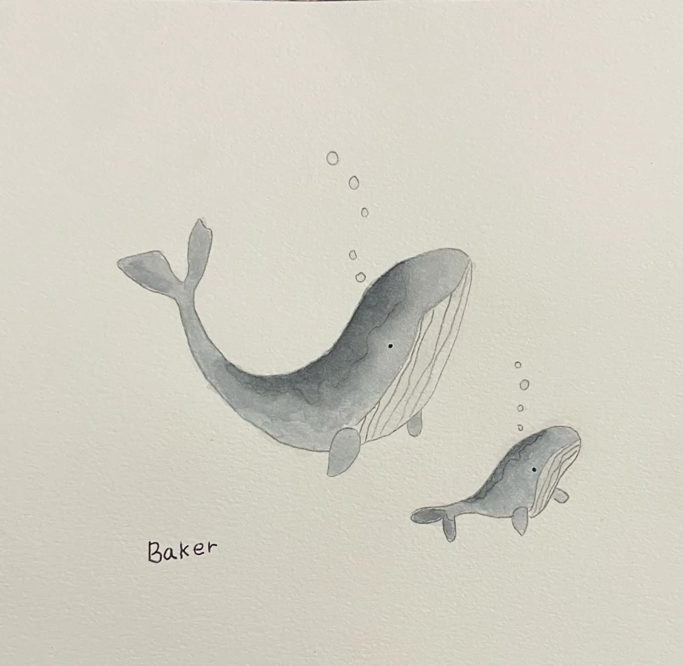 Watercolor painting of two whales